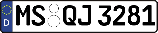 MS-QJ3281