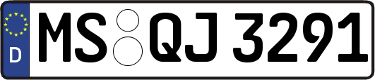 MS-QJ3291