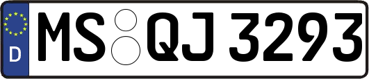 MS-QJ3293