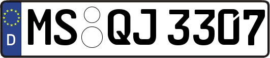 MS-QJ3307