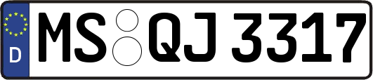 MS-QJ3317