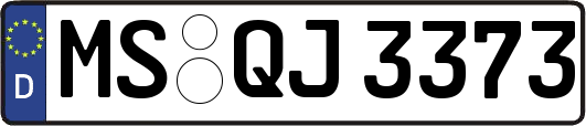 MS-QJ3373