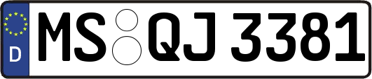 MS-QJ3381
