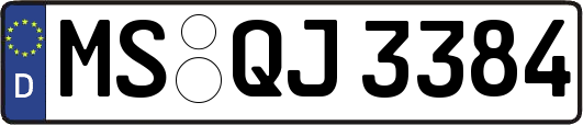 MS-QJ3384