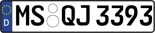 MS-QJ3393