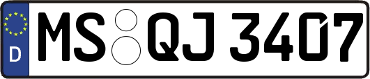 MS-QJ3407