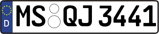 MS-QJ3441
