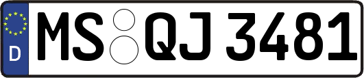 MS-QJ3481