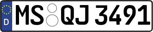 MS-QJ3491