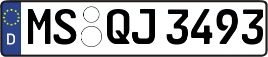 MS-QJ3493