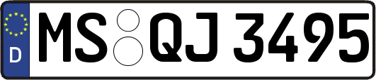 MS-QJ3495
