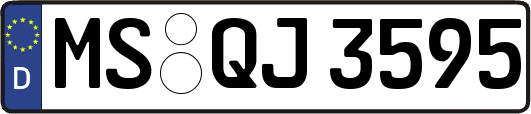 MS-QJ3595