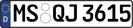 MS-QJ3615