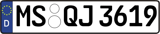 MS-QJ3619