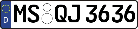 MS-QJ3636