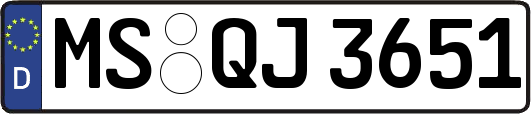 MS-QJ3651