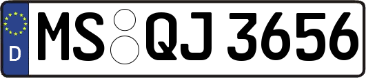 MS-QJ3656