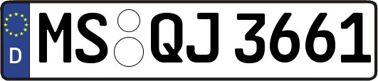 MS-QJ3661
