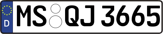 MS-QJ3665