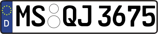 MS-QJ3675