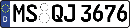 MS-QJ3676
