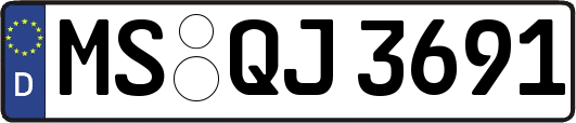 MS-QJ3691