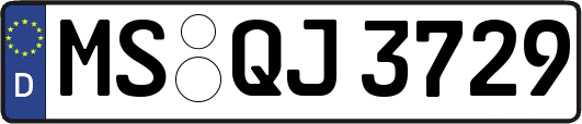 MS-QJ3729
