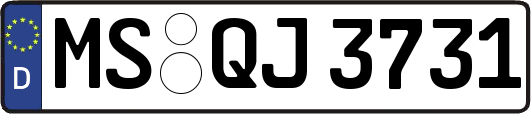 MS-QJ3731
