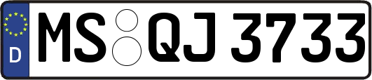 MS-QJ3733