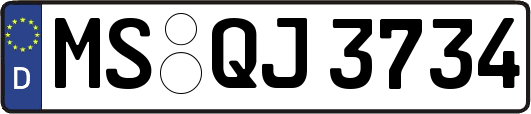MS-QJ3734