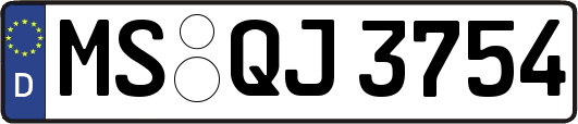 MS-QJ3754