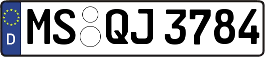MS-QJ3784