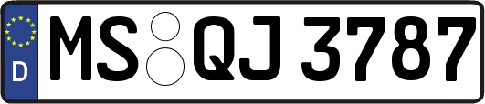 MS-QJ3787