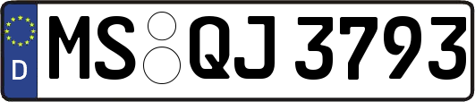 MS-QJ3793