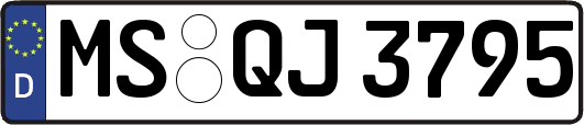 MS-QJ3795