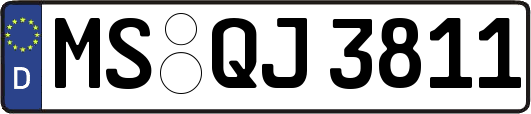MS-QJ3811
