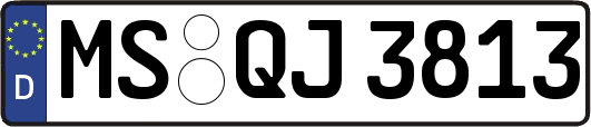 MS-QJ3813