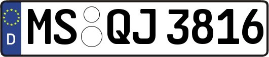MS-QJ3816