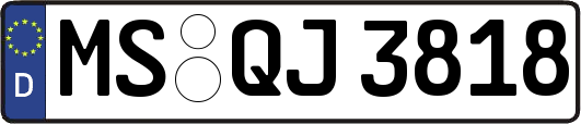 MS-QJ3818