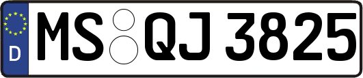 MS-QJ3825