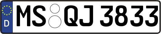 MS-QJ3833