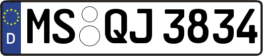 MS-QJ3834