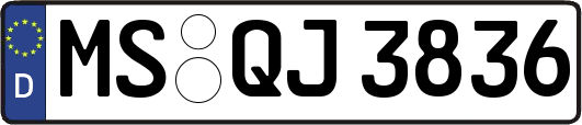 MS-QJ3836