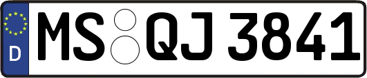 MS-QJ3841