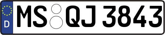 MS-QJ3843