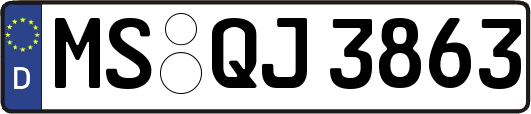 MS-QJ3863