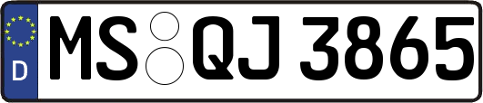 MS-QJ3865