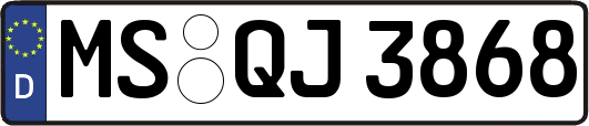 MS-QJ3868