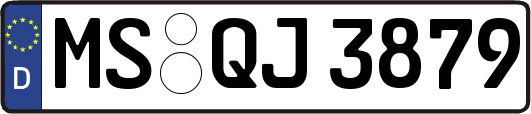 MS-QJ3879