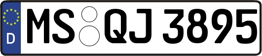 MS-QJ3895